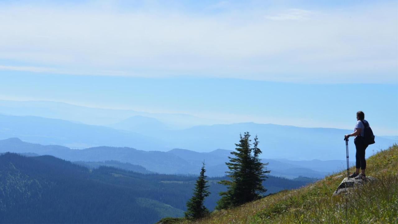 Appartamento Settlers Crossing #61 By Bear Country Sun Peaks Esterno foto